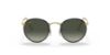 Picture of Ray Ban Sunglasses RB3447JM