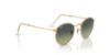 Picture of Ray Ban Sunglasses RB3447