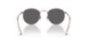 Picture of Ray Ban Sunglasses RB3447