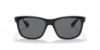 Picture of Ray Ban Sunglasses RB4181