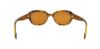 Picture of Ray Ban Sunglasses RB4198