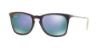 Picture of Ray Ban Sunglasses RB4221