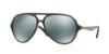 Picture of Ray Ban Sunglasses RB4235