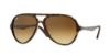 Picture of Ray Ban Sunglasses RB4235
