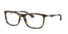 Picture of Ray Ban Eyeglasses RX7029