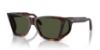 Picture of Persol Sunglasses PO0009