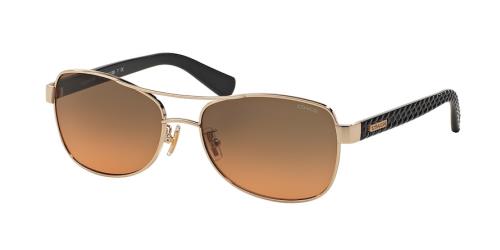 Picture of Coach Sunglasses HC7054 L129