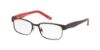 Picture of Polo Eyeglasses PP8036