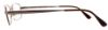 Picture of Elasta Eyeglasses 7163