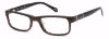 Picture of Fossil Eyeglasses ARCHER