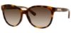 Picture of Jimmy Choo Sunglasses LUCIA/S