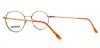 Picture of Flexon Eyeglasses 53