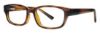 Picture of Gallery Eyeglasses EVAN