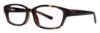 Picture of Gallery Eyeglasses EVAN