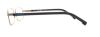 Picture of Lacoste Eyeglasses L3101