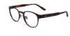 Picture of Converse Eyeglasses P009