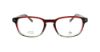 Picture of Penguin Eyeglasses THE MULLIGAN