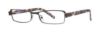 Picture of Vera Wang Eyeglasses V085