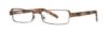 Picture of Vera Wang Eyeglasses V085