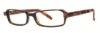 Picture of Vera Wang Eyeglasses V300