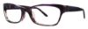 Picture of Vera Wang Eyeglasses VA05
