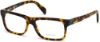 Picture of Diesel Eyeglasses DL5071