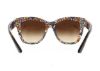 Picture of Dolce & Gabbana Sunglasses DG4270