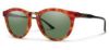 Picture of Smith Sunglasses QUESTA/S