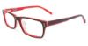 Picture of Converse Eyeglasses Q040 UF