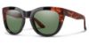 Picture of Smith Sunglasses SIDNEY/S