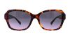 Picture of Coach Sunglasses HC8160 L145