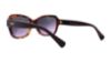 Picture of Coach Sunglasses HC8160 L145