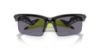Picture of Oakley Sunglasses FROGSKINS