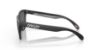 Picture of Oakley Sunglasses FROGSKINS