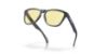 Picture of Oakley Sunglasses FROGSKINS
