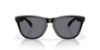 Picture of Oakley Sunglasses FROGSKINS