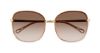 Picture of Chloe Sunglasses CH0031S