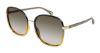 Picture of Chloe Sunglasses CH0031S