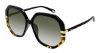 Picture of Chloe Sunglasses CH0105S