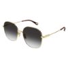 Picture of Chloe Sunglasses CH0139SA