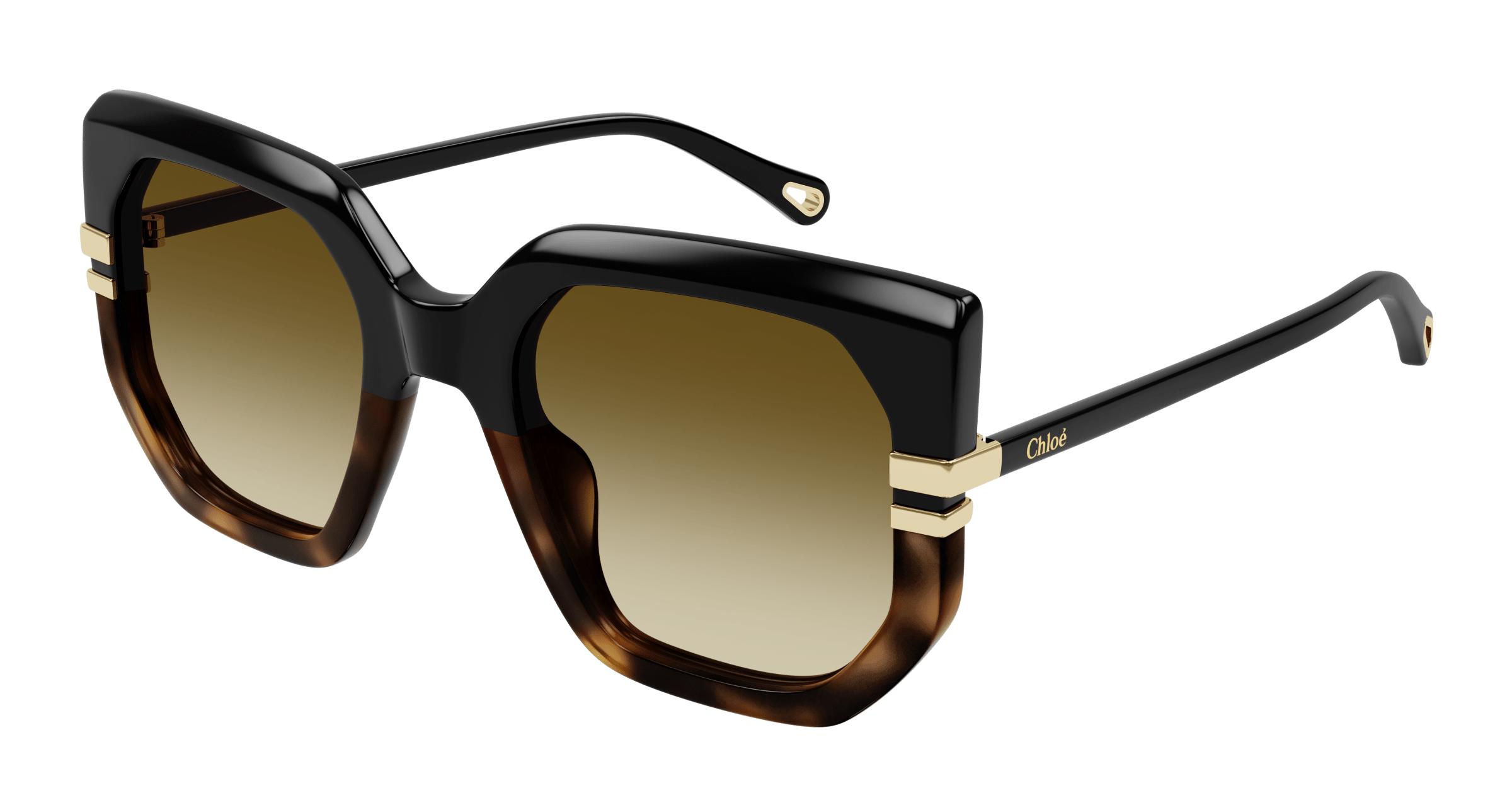 Picture of Chloe Sunglasses CH0240S