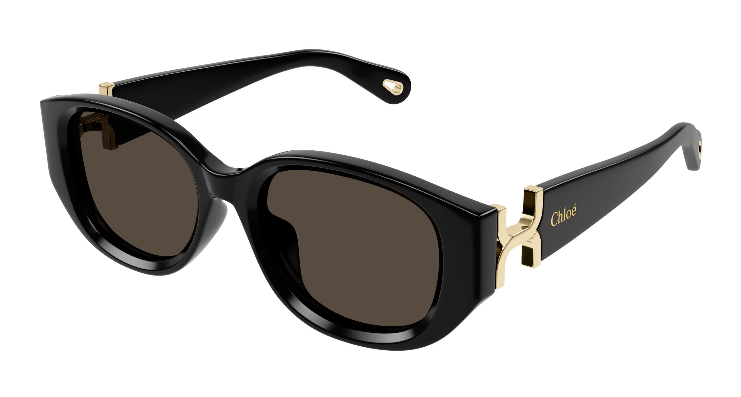 Picture of Chloe Sunglasses CH0237SK