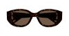 Picture of Chloe Sunglasses CH0237SK