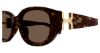 Picture of Chloe Sunglasses CH0237SK