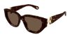 Picture of Chloe Sunglasses CH0235S