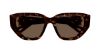 Picture of Chloe Sunglasses CH0235S