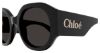 Picture of Chloe Sunglasses CH0234S