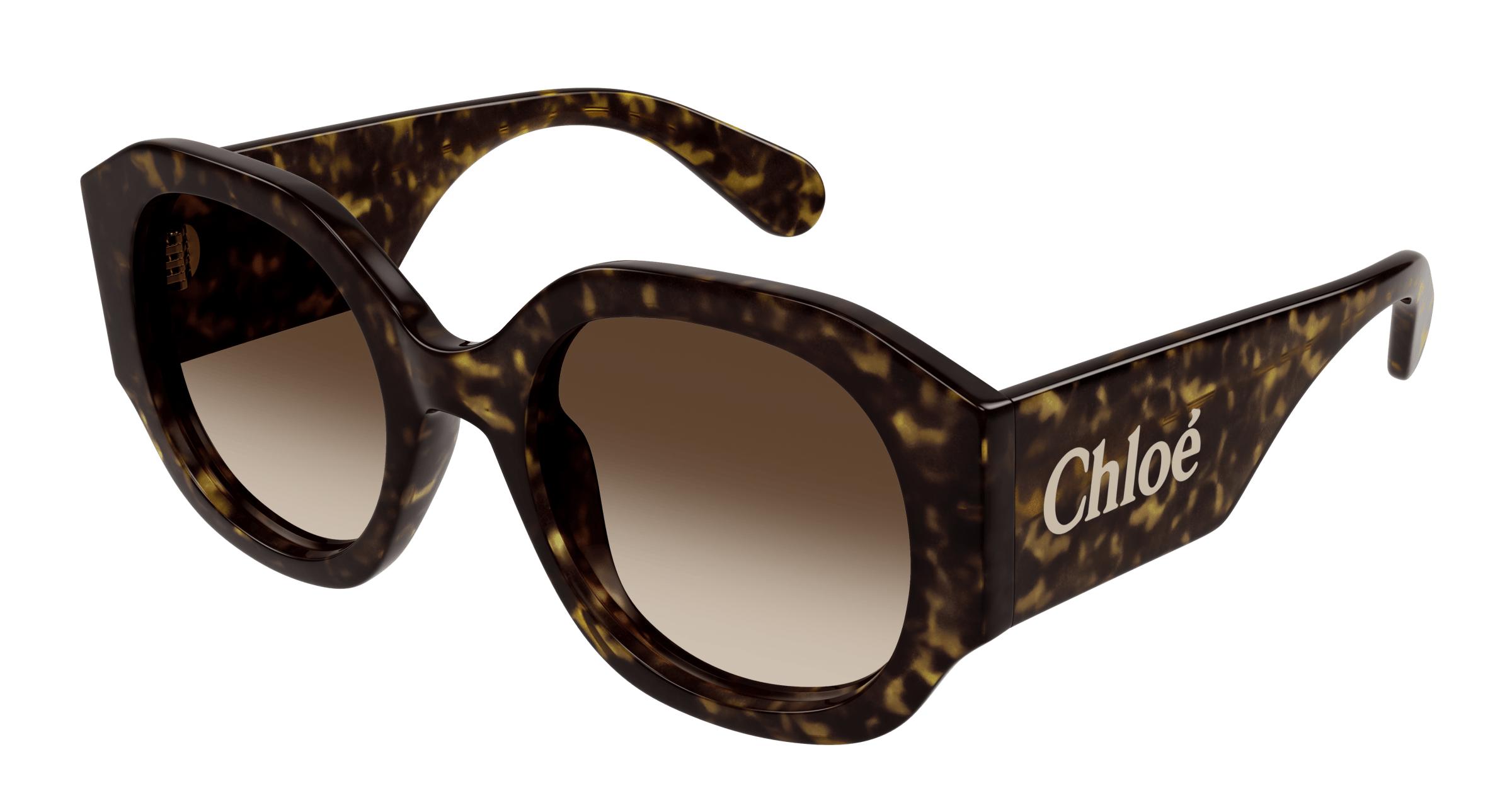 Picture of Chloe Sunglasses CH0234S
