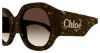 Picture of Chloe Sunglasses CH0234S