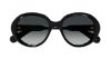 Picture of Chloe Sunglasses CH0221S